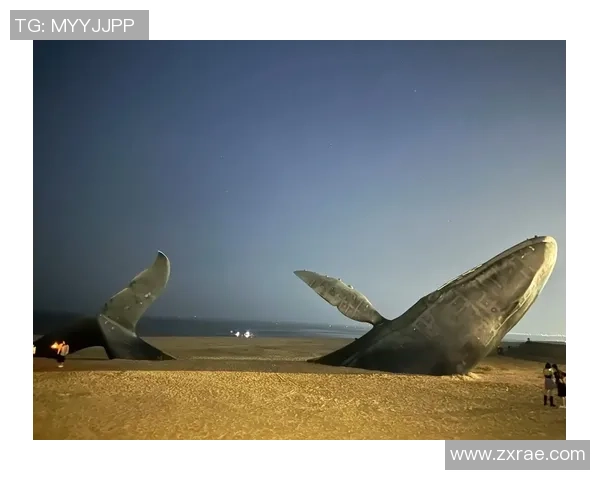 一鲸落万物生,缺谁谁为难!没有特雷·扬的老鹰更强